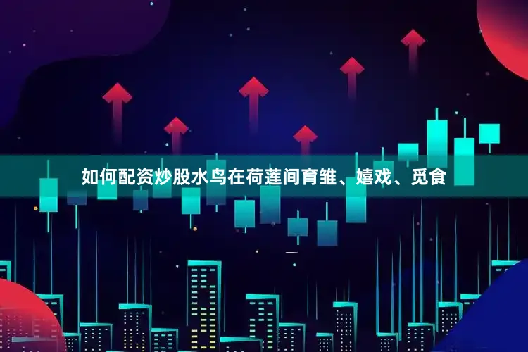如何配资炒股水鸟在荷莲间育雏、嬉戏、觅食