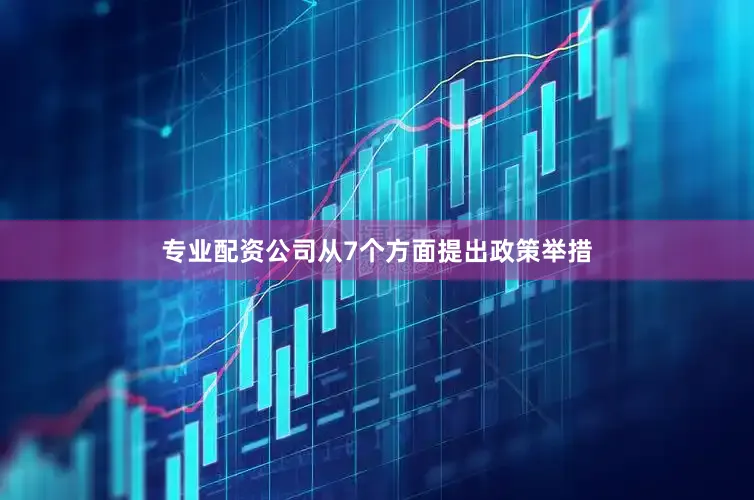 专业配资公司从7个方面提出政策举措