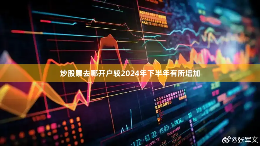 炒股票去哪开户较2024年下半年有所增加