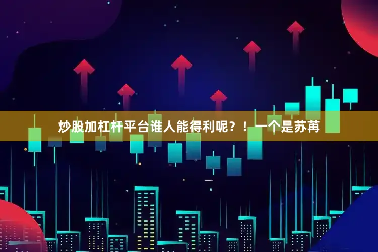 炒股加杠杆平台谁人能得利呢？！一个是苏苒